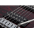 Schecter Sunset Strip BR BLK(TREM) 6108