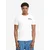 Benlee Mens t-shirt regular fit