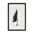 Plakat minimalistično igličasto drevo - 40x60 white