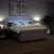 Vidaxl Box spring postelja z vzmetnico taupe 200x200 cm blago