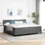 Vidaxl LED Box Spring Postelja Svetlo siva in bela. 200 x 200 cm