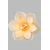 OPVIQ Luster Lotus 1 Cream