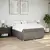 Vidaxl Box spring postelja z vzmetnico taupe 140x200 cm blago