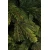 Novogodišnja jelka Tara (180cm), zelena