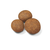 Royal Canin Maxi Puppy - 10 kg