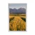 Plakat sončni zahod nad pšeničnim poljem - 30x45 white