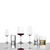 Kozarec za šampanjec ECHO 395 ml, set 4 kosov, Zwiesel Glas