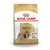 ROYAL CANIN Suva hrana za pse Shih Tzu Adult 1.5kg