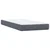 Vidaxl Box Spring postelja z vzmetnico Temno siva 80x220 cm Velvet