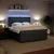 Vidaxl Box spring postelja z vzmetnico temno siva 200x200 cm žamet