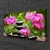 tulup.si Slika na platnu Flower stones art 100x50 cm