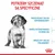 Royal Canin Medium Puppy 15 kg