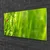 tulup.si Slika na steklu Grass pikapolonica narava 120x60 cm 4 obešalnika
