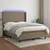 Vidaxl Box spring postelja z vzmetnico LED taupe 140x190 cm blago