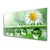 tulup.si Steklena slika Dew leaf narava daisies 125x50 cm 2 obešalnika