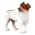 COLLECTA Psi pasme terier Jack Russell 88080 7 cm