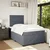 vidaXL Box spring postelja z vzmetnico temno siva 120x200 cm žamet