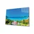 Slika Wallity 221JRS1499, 70x110 cm