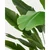Umeten bananovec (višina 210 cm) – Kave Home