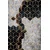 CONCEPTUM HYPNOSE HMNT773 ( 180 x 280 )