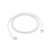 Kucni punjac za iPhone 13/12/11 PD Fast charger 20W 3A HQ