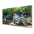 tulup.si Slika na steklu Forest slap narava 140x70 cm 2 obešalnika