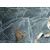 Decormat PVC preproga Skelet z listom 120x180 cm