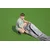 Bestway Premium zimska ponjava - O 370 cm