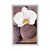 Plakat wellness kamni in orhideja na lesenem ozadju - 40x60 silver
