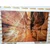 Slika steza v Grand Canyonu - 120x80