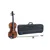 Violina 3/4 Allegro karbonski lok KOMPLET Gewa GS400.052.122.1