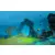 Switch Dolphin Spirit: Ocean Mission