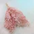 shumee Stabiliziran Ruscus - (Ruscus) - Pastelno roza