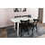 HANAH HOME Trpezarijski sto Retro 1193