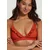Shiwi Bikini Beau  rjasto rjava