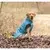 Trixie Jakna za pse Riom, 50 cm, Plava