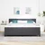 Vidaxl LED Box Spring Postelja Temno siva in bela 200 x 200 cm