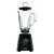 TEFAL Blender BlendForce II BL420838