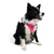 Paws & Whiskers Am za pse Air-Mesh, Roze