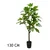 Lilium stablo smokve 130 cm 567312