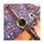 Casio bd422596 pisana