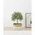 Eglo living veštačka biljka Yubetsu 428342