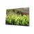 Slika Wallity 221JRS1331, 46x72 cm