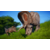 Jurassic World Evolution
