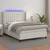 Vidaxl Box spring postelja z vzmetnico LED bela 140x190cm umetno usnje