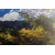 Slika gorska pokrajina - 135x45