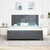 Vidaxl LED Box Spring Postelja Temno siva 180 x 200 cm Žamet