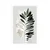 Plakat minimalistična praprot - 40x60 silver