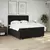 vidaXL Box spring postelja z vzmetnico črn 200x200 cm blago