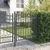 Vidaxl Vrata ograje s bodicami EMMEN 150 x 100 cm
